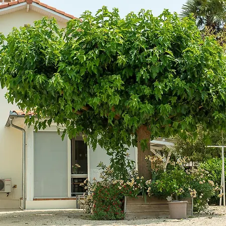 Venitia T2 Apartment *